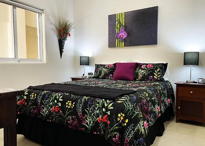 Walk To Beach, King Bed 2b2 Newly Furnished * Cabo San Lucas